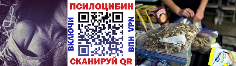 гидра онион  даркнет сайт  Шахты  Псилоцибиновые грибы MAGIC MUSHROOMS 